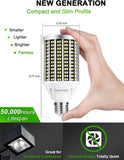 DragonLight 30W LED Corn Bulbs 6000K Daylight E26 Base 3,600LM [Twin Value Pack]