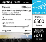 DragonLight 54W LED Corn Bulb Fanless 6000K Daylight E26/E39 Base 6,500LM - UL Listed