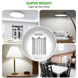 DragonLight 30W LED Corn Bulbs 6000K Daylight E26 Base 3,600LM [Twin Value Pack]