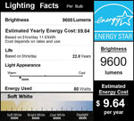 DragonLight 80W Commercial Grade LED Corn Bulb 3000K Warm White E26/E39 Base 9,600LM - UL Listed
